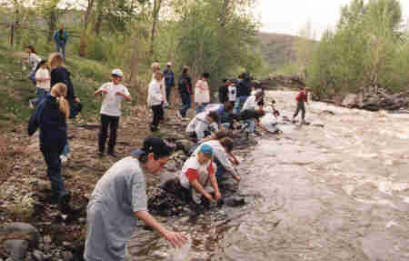 Students Releasing Salmon